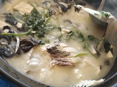 -老淳安—伴山伴湖(千岛湖开元度假村店)