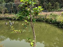 -木屋烧烤(岗顶二店)