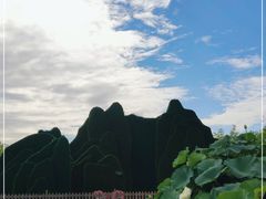 -莲花池公园