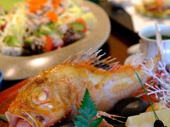 -四葉寿司(免税二期店)
