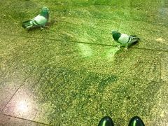 -谢列梅捷沃国际机场