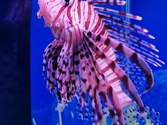 -秦皇岛新澳海底世界