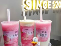 -树夏(锦里店)