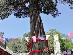 -北京上方山国家森林公园