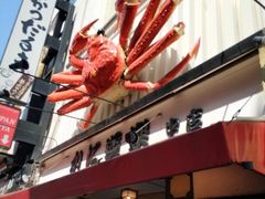 -蟹道乐(道顿堀本店)