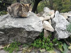 -秦岭风景区