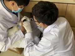 -全心全意连锁动物医院·微创中心·内科急重症·心脏专科(丰管路店)
