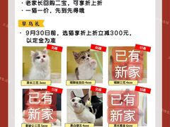 -三花喵·撸猫购宠·宠物生活馆(虹桥南丰城店)