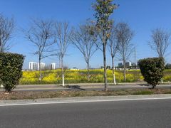 -西溪南古村落