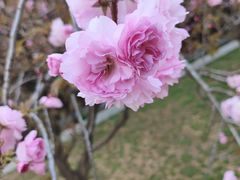 -山东大学(软件园校区)