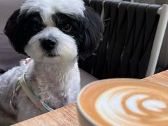 -The PEAT Coffee(深业中城店)