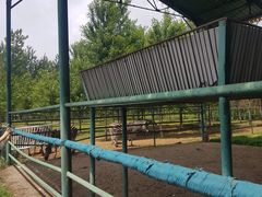 -秦皇岛野生动物园