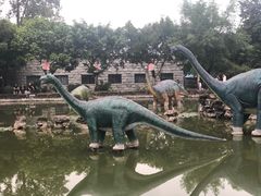 -自贡恐龙博物馆