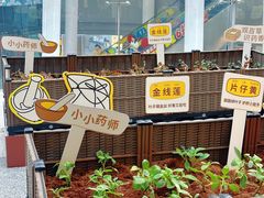 -武汉荟聚