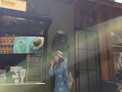 -野象谷景区