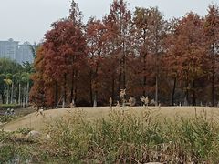 -厦门园林博览苑