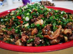 -东吴霸王兔(松青路店)