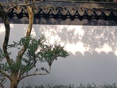 -秋霞圃