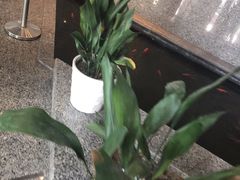 -ROSEONLY诺誓(青岛万象城店)