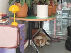 -LaFBagel手作烘焙工作室