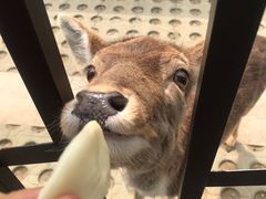 -西安秦岭野生动物园