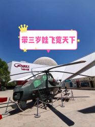 -飞览天下沉浸式飞行体验(北京旗舰店)