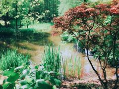 -上海滨江森林公园