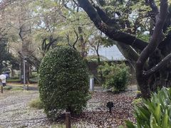 -东京国立博物馆