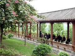 -重庆彩云湖湿地公园