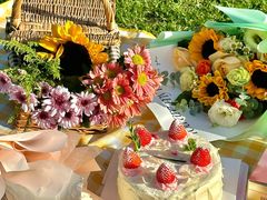 -长白岛森林公园