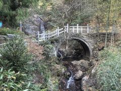 -东天目山风景区