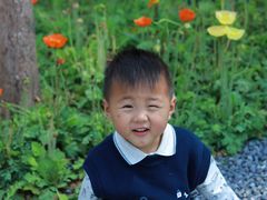 -云溪植物园