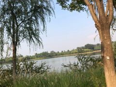 -东郊湿地公园
