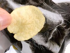 -大润发(张江店)