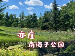 -南海子公园