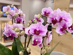 -酉嘉瑜伽YO+YOGA