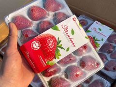 -中国石化黄河大道加油站