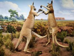 -陕西自然博物馆