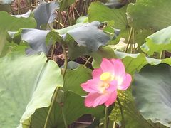 -浙江省博物馆(孤山馆区)