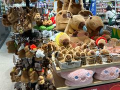 -凯德MALL(望京店)