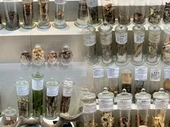 -广东中医药博物馆