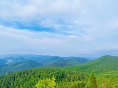 -武陵山森林公园