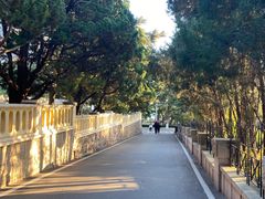 -八大关景区