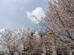 -晓庄学院-食堂
