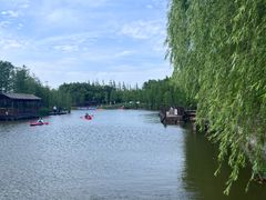 -上海长兴岛郊野公园