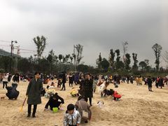 -枫香湖儿童公园