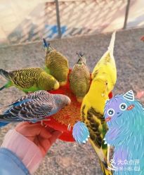 点击看大图 -萌宠亲子动物乐园(槐房万达店)