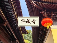 -亭林园-华藏寺