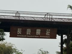 -长鹿旅游休博园