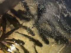 -铁锅炖灶台鱼老三炖鱼馆